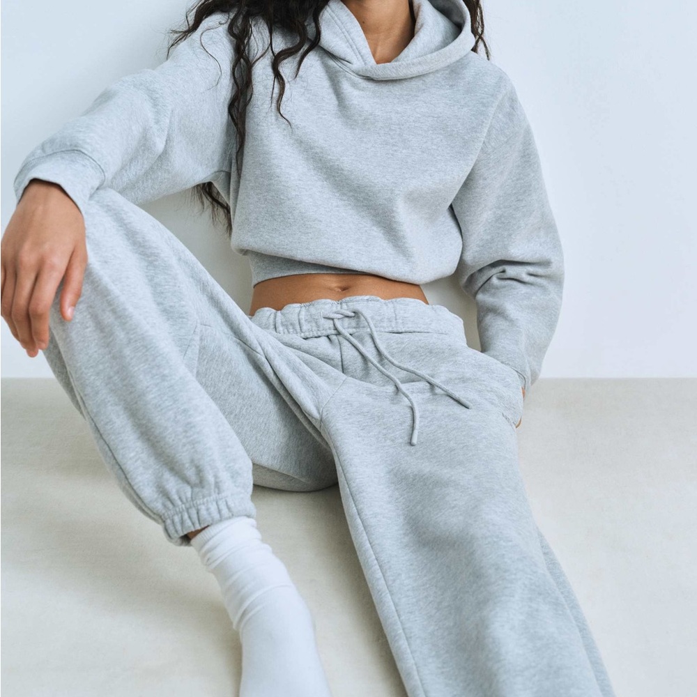 Aritzia TNA gray hoodie sweat set